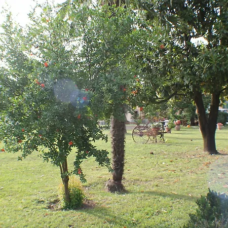 Nocleg ze śniadaniem Pardi